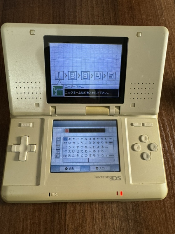 Nintendo DS белая USED. Купить Nintendo DS белая USED в магазине 66game.ru