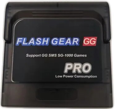 картинка Flash картридж для Sega Game Gear Pro от магазина 66game.ru