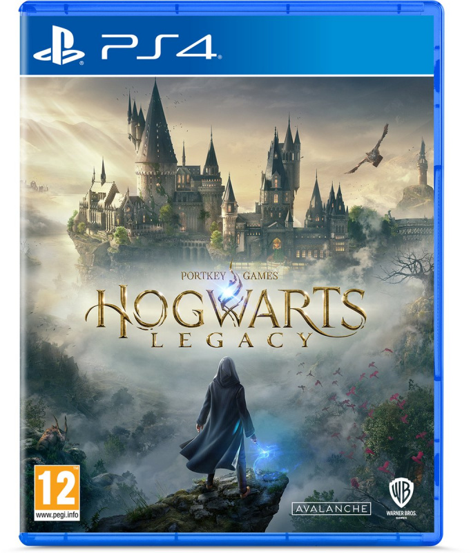 картинка Hogwarts Legacy [PS4, русские субтитры]. Купить Hogwarts Legacy [PS4, русские субтитры] в магазине 66game.ru