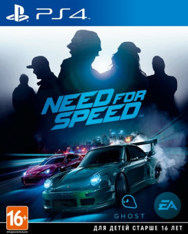 Need for Speed