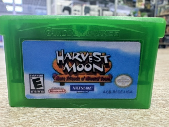 Harvest Moon  Friends of Mineral Town
