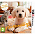 картинка Nintendogs + Cats: Голден-ретривер и новые друзья (Русская версия) [3DS] USED. Купить Nintendogs + Cats: Голден-ретривер и новые друзья (Русская версия) [3DS] USED в магазине 66game.ru