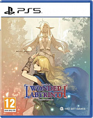картинка Record of Lodoss War: Deedlit in Wonder Labyrinth [PlayStation 5,PS5  русские субтитры] от магазина 66game.ru