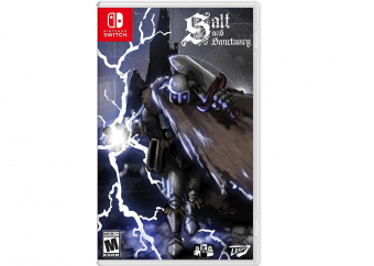 Salt and Sanctuary [Nintendo Switch, английская версия]  1